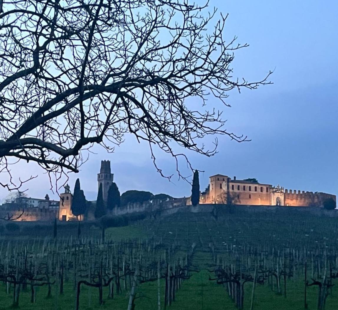Вилла I Sassi Della Piave Susegana Экстерьер фото